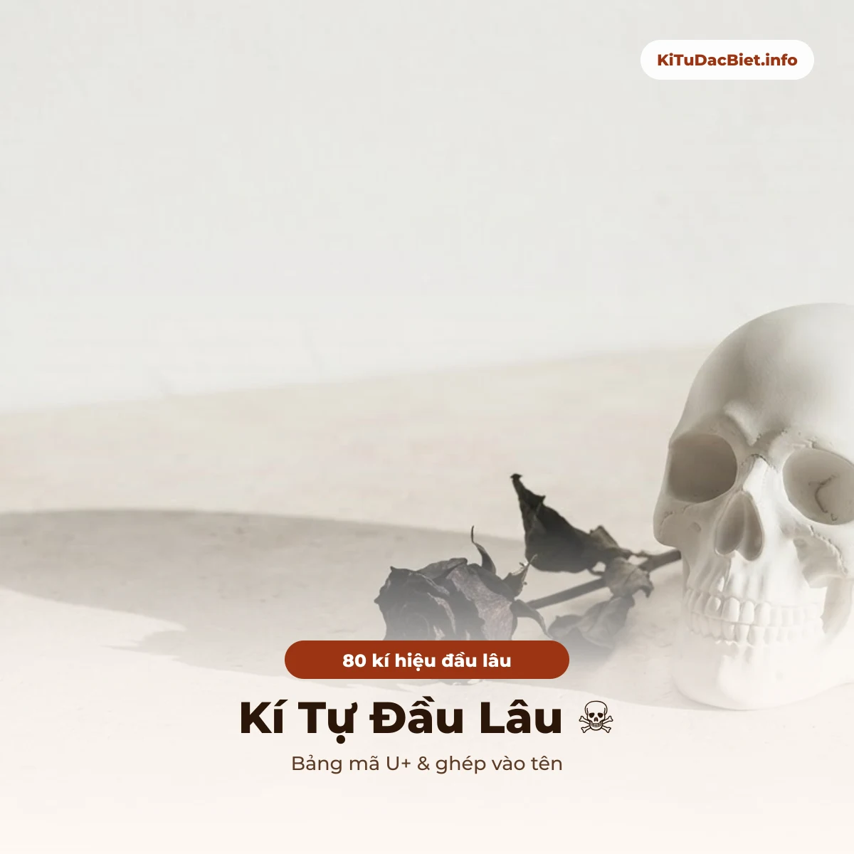 Kí tự đầu lâu ☠ kèm mã U+