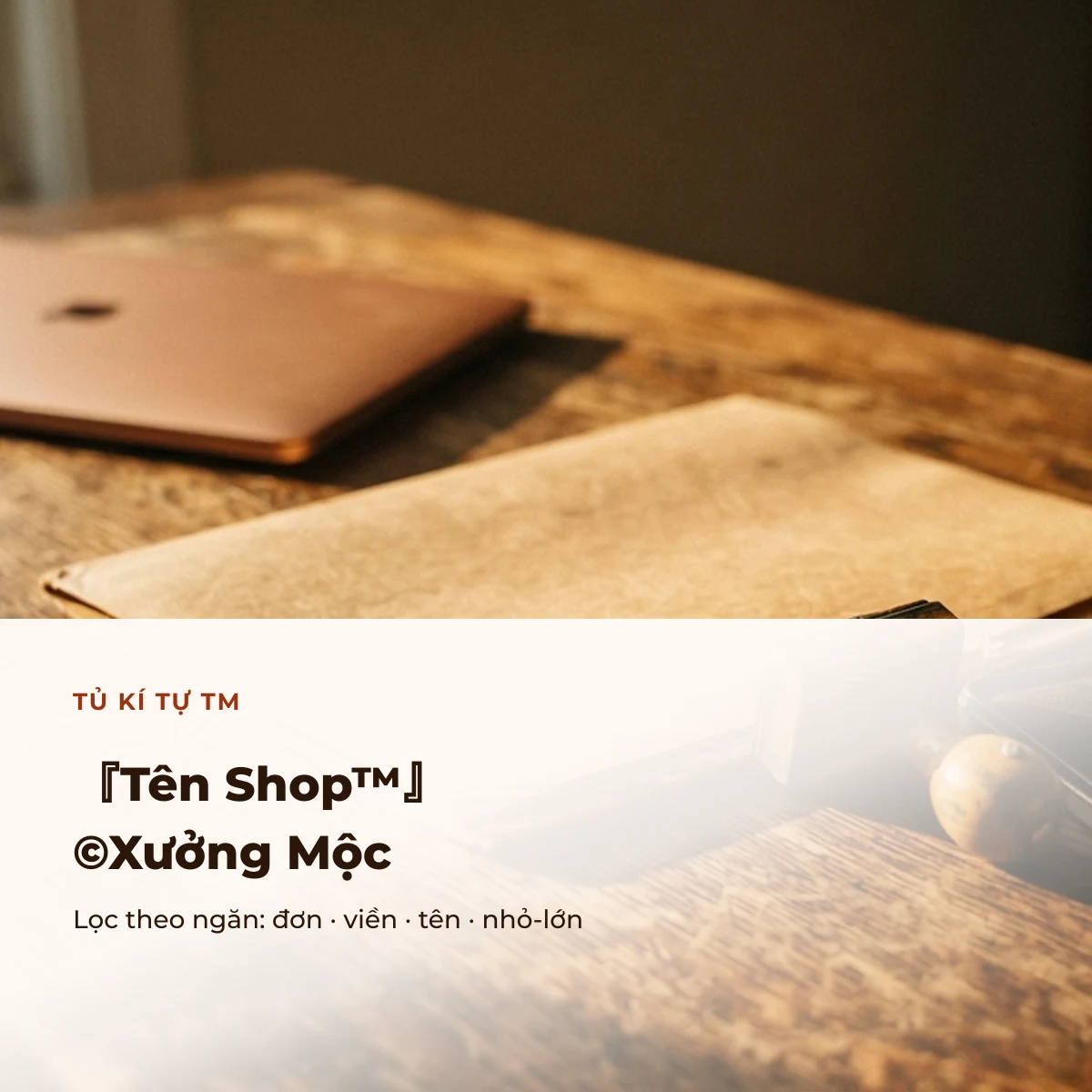 Ngăn kí tự TM, dấu hiệu thương hiệu